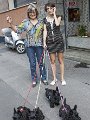 20140807 - Cuccioli pomeriggio da Ebe_007