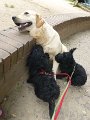 20140904 - Cuccioli con Cassandra_007