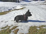 20141025 -  Ferdinand-Vulcano e la neve_002