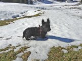 20141025 -  Ferdinand-Vulcano e la neve_003