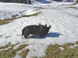 20141025 -  Ferdinand-Vulcano e la neve_004