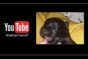 Filmato coccole
