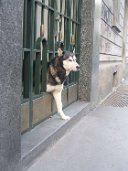 Citta_005