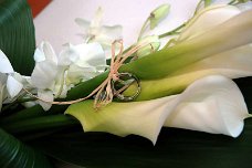 Matrimonio_003
