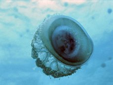Natura_004