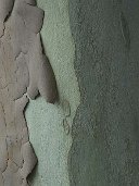 Natura_008
