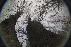 Natura_009