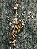 Natura_012